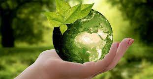 ecofriendly choice